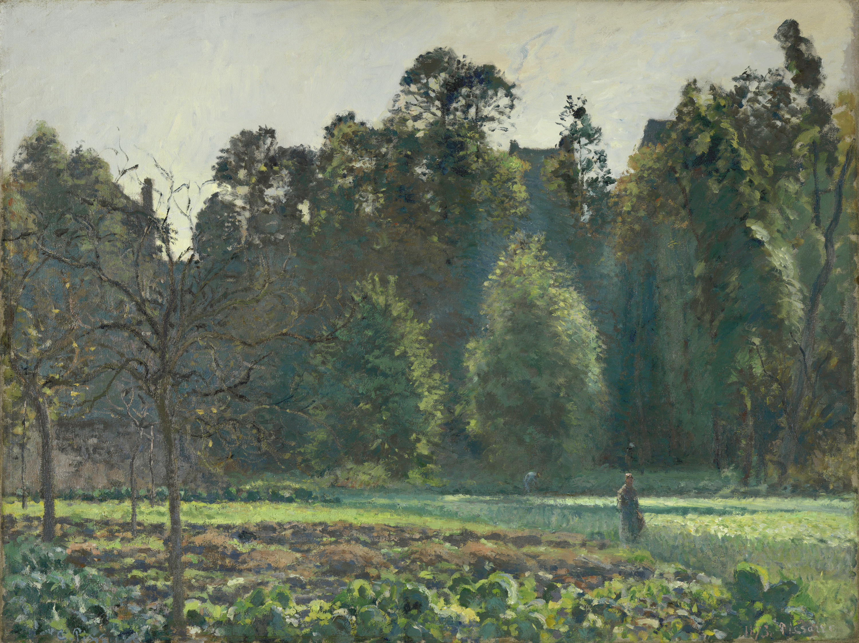 The Cabbage Field, Pontoise - Pissarro, Camille. Museo Nacional